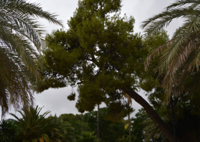 Imágenes parque San Arcadio