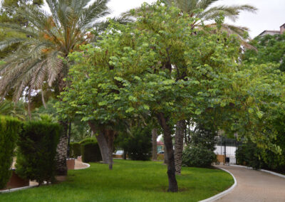 Imágenes parque San Arcadio