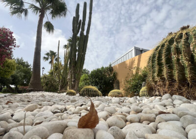 Imágenes parque San Arcadio