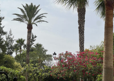 Imágenes parque San Arcadio