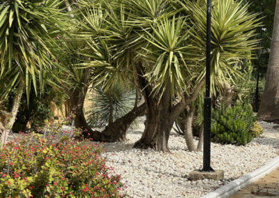 Imágenes parque San Arcadio