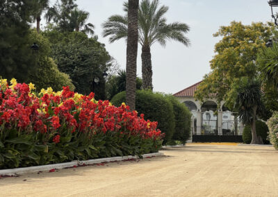 Imágenes parque San Arcadio