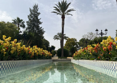 Imágenes parque San Arcadio