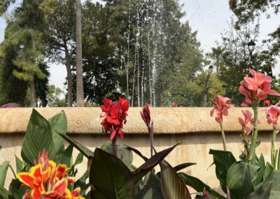 Imágenes parque San Arcadio