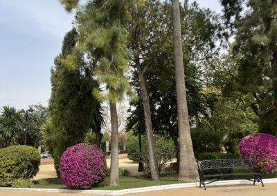 Imágenes parque San Arcadio