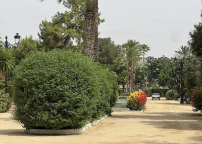 Imágenes parque San Arcadio