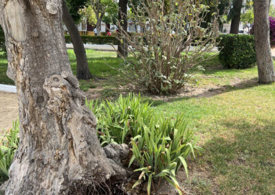 Imágenes parque San Arcadio