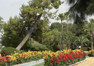 Imágenes parque San Arcadio