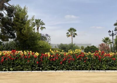 Imágenes parque San Arcadio
