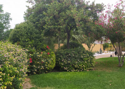 Imágenes parque San Arcadio