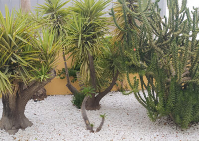 Imágenes parque San Arcadio