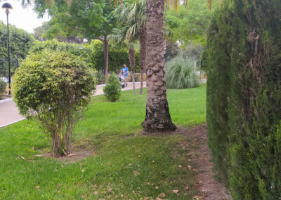 Imágenes parque San Arcadio