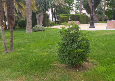 Imágenes parque San Arcadio