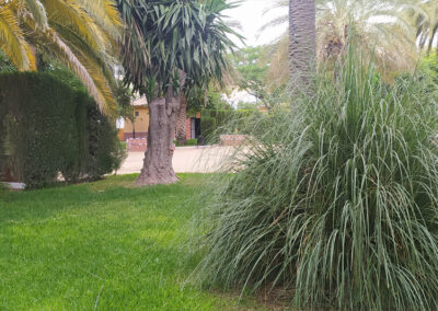 Imágenes parque San Arcadio