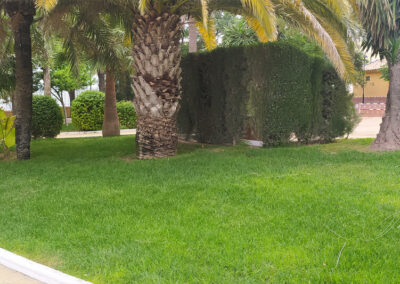 Imágenes parque San Arcadio