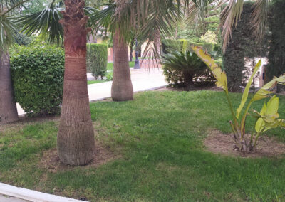 Imágenes parque San Arcadio