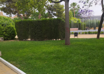 Imágenes parque San Arcadio