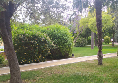 Imágenes parque San Arcadio