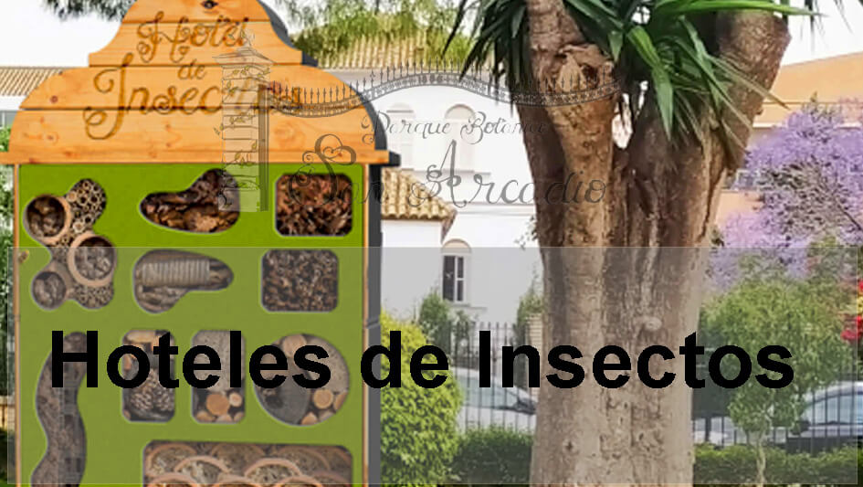 acceso-flora Acceso Flora