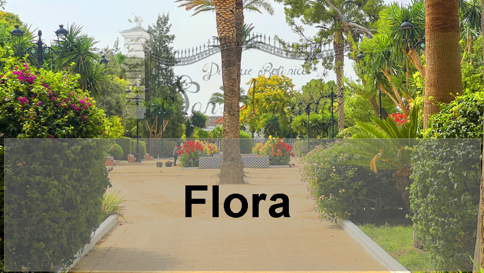 fondo-enlaces-directos Imagen de fondo para enlaces directos