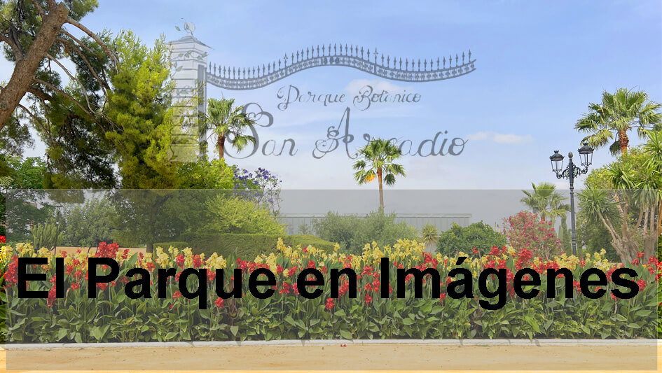 acceso-parque Acceso parque en imágenes