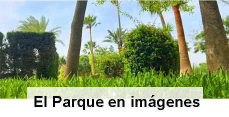 El Parque en Imágenes Fondo enlace directo parque en imágenes