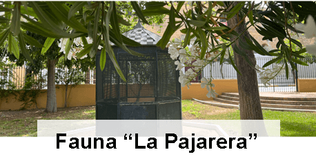 Fauna "La Pajarera" enlace destacado de fauna "La Pajarera"