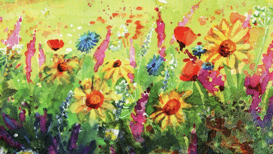 Hoteles genéricos 2