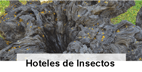 Hoteles Insectos Enlaces destacados hoteles de insectos