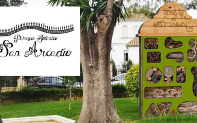 Hotel de Insectos: Un refugio para nuestros pequeños aliados